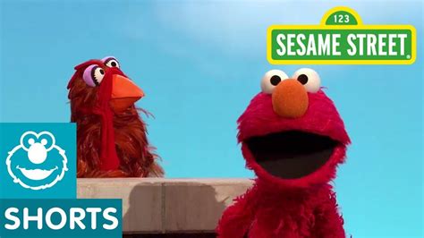 Sesame Street Elmo Pretends To Be A Chicken Youtube