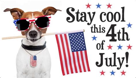 Stay Cool July 4th Ecard Free Independence Day Cards Online