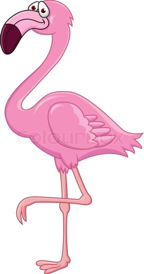 Flamingo Cartoon Stock Vector Colourbox