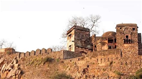 Chittorgarh To Amer Fort These Magnificent Hill Forts Of Rajasthan Are