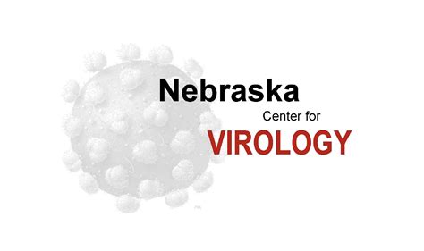 Nebraska Center For Virology Seeking Student Researcher Announce University Of Nebraska Lincoln