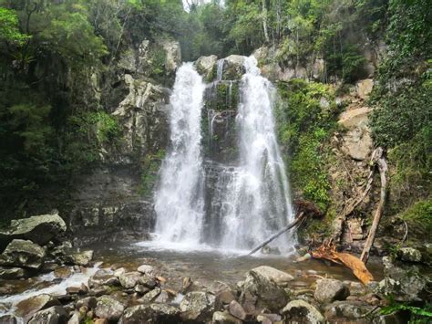 Minnamurra Rainforest And Falls Walk Budderoo National Park Nsw
