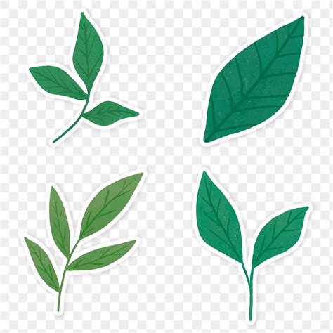 Green Leaves Sticker Collection Transparent Free Png Rawpixel