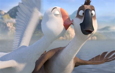 Duck Duck Goose Gfm Animation