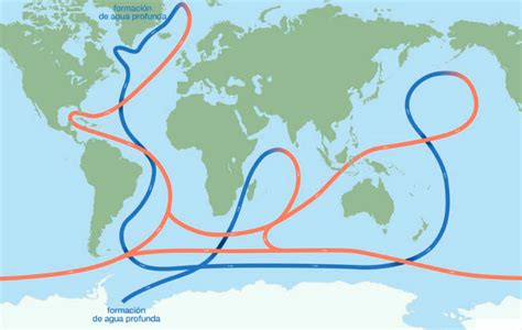 Aguas OceÁnicas Mind Map
