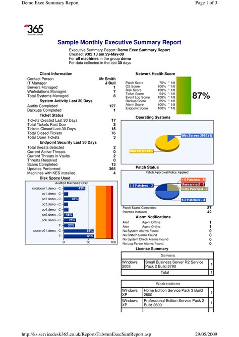 Monthly Executive Report Template