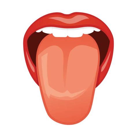 sticking out tongue illustration stock vectors istock