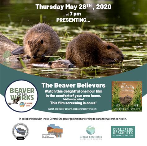 Beaver Believers Screening Online May 28th Beaver Works Oregon