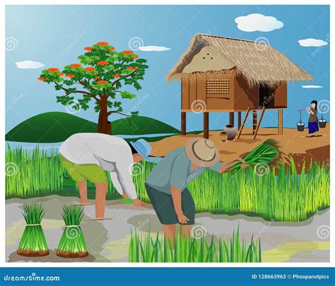 Farmer Work In Paddy Field Stock Vector Illustration Of Carry 128663963