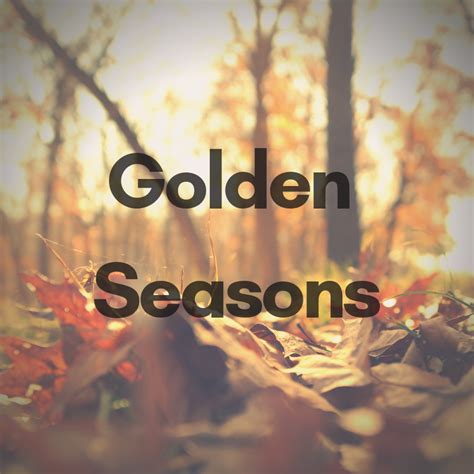 All Seasons