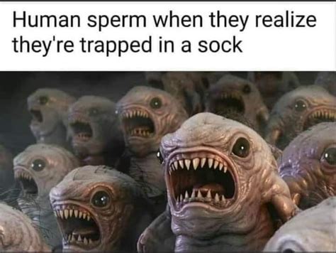 The Best Sock Memes Memedroid
