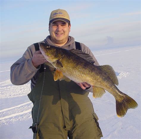 Big Walleye Caught On Lake Michigan Little Bay De Noc In Escanaba Mi