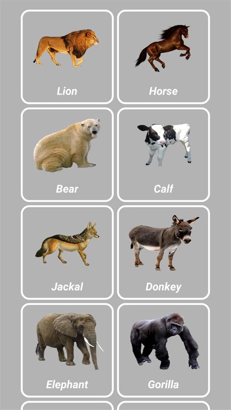 Animal Sounds For Android Apk Download