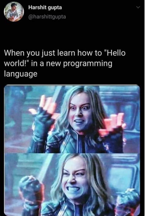 Programming Memes Top 40 Funniest Coding Memes Only Programmers Will Get