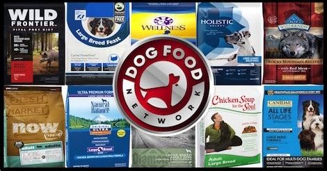 Large breed dogs may have different nutritional requirements than small breed dogs. The 10 Best Large Breed Dry Dog Food Brands For 2021 - Dog ...