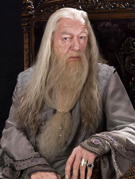 Albus Dumbledore Rings Beard Chair White Hair Harry Potter