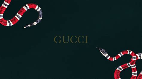 Gucci Word With Red Black Snake In Green Background Hd Gucci Wallpapers