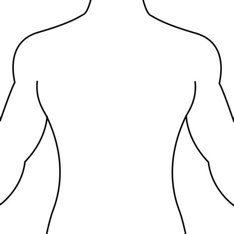 The human spine is composed of 33 vertebrae that interlock with each other to form the spinal column. Human Body Outline Front and Back Drawing - Health Token ...