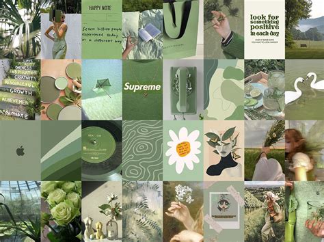 Sage Green Collage Kit Sage Greenwhite Aesthetic Wall Collage Kit