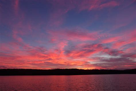 Pink Sunset Awesome Pink Sunset 1024x693 20387