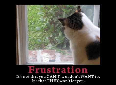 Quotes About Frustration At Work Quotesgram