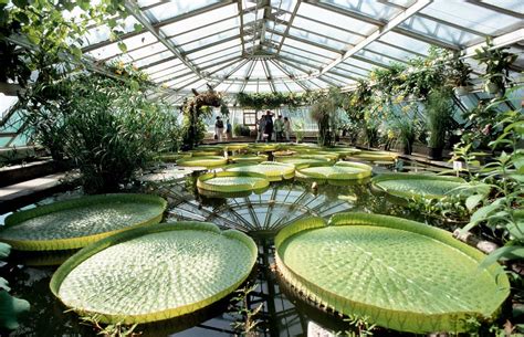 Hinzu kommen die laufenden kosten: Berlin: Der Botanische Garten droht finanziell ...