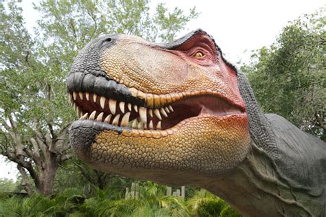Top Dinos To See At Tampa Lowry Park Zoos Dinos Alive