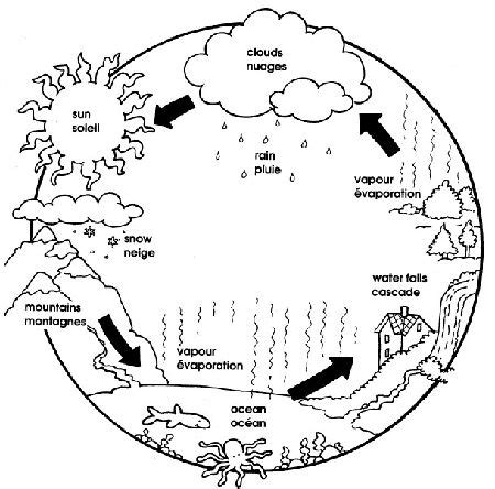 Water cycle for kids coloring page coloring home. Color me! -download pdf for large color sheet | Water ...