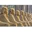 Ancient Egypt New Sphinx Statue Uncovered In Historic Luxor City