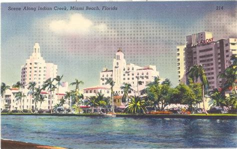 Vintage Florida Postcard Miami Beach Scene Along Indian Etsy