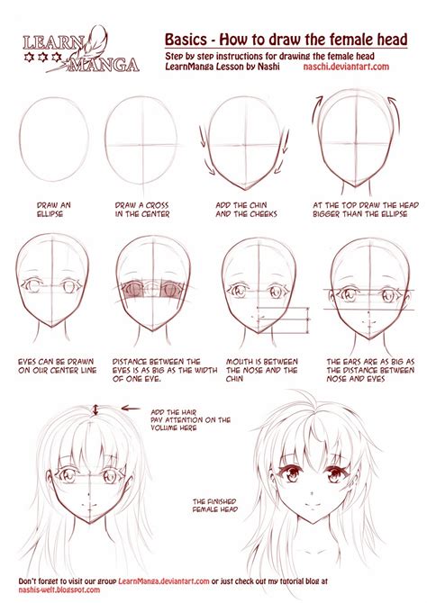 Drawing Manga Head Tutorial Manga