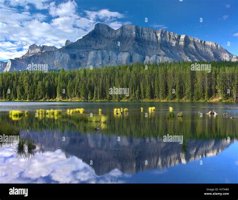 Mount Rundle And Boreal Forest Reflected In Johnson Lake Banff