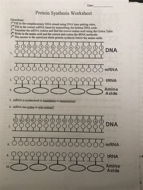 Along with them is this dna rna and protein synthesis worksheet answer key that can be your partner. Solved: Date: Protein Synthesis Worksheet Directions: 1" F... | Chegg.com