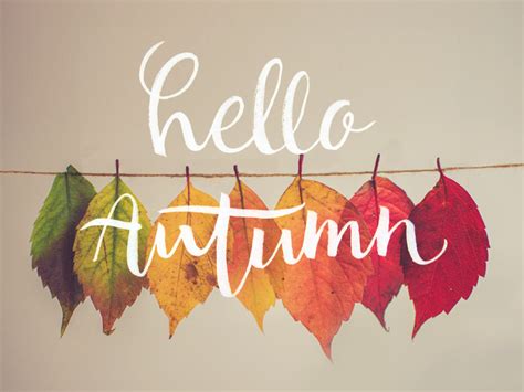 Hello Autumn By Aramisdream On Dribbble