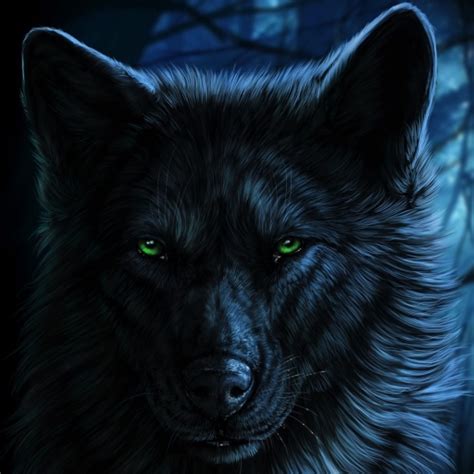 Black Wolf