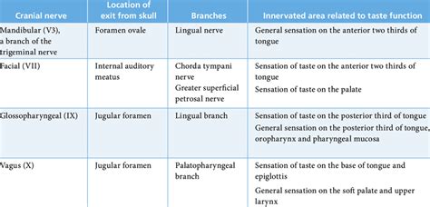 Cranial Nerve Taste