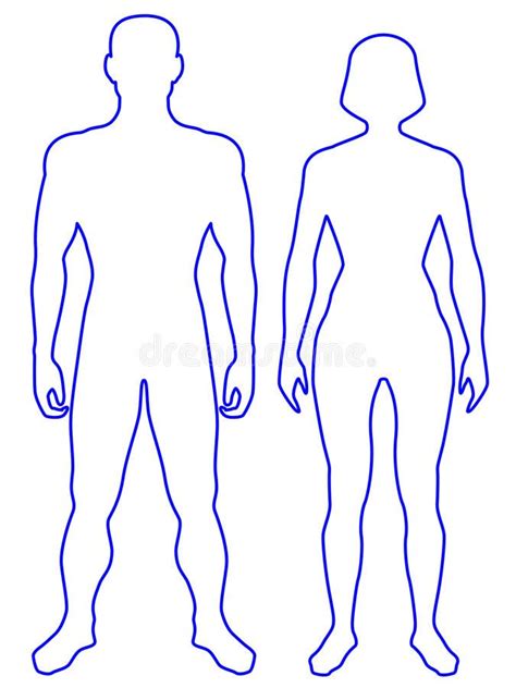 Human Body Stock Vector Illustration Of People Pair 49090018