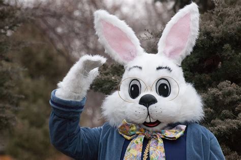 Easter Bunny Photo Experience Coming Soon To Simon Malls Northshore