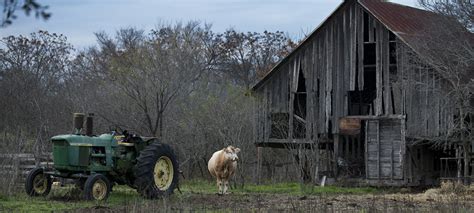 Barns Tractors And Cows Andys Ramblings