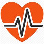 Icon Heart Cardio Pulse Cardiology Heartbeat Medical