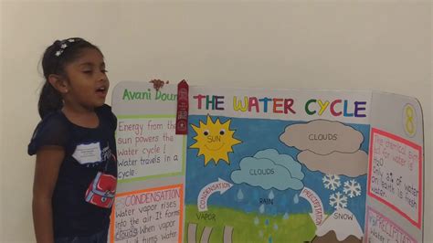 Avanis First Science Project The Water Cycle Youtube