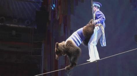 movie trailer russian circus bears rated x youtube