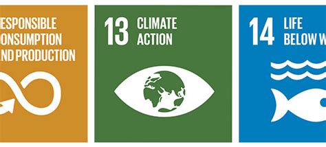 In 2015 the un general assembly passed the agenda 2030 with the 17 goals for sustainable development: How UN Sustainable Development Goals are driving climate ...