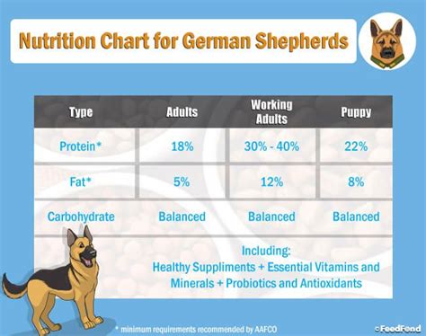 We did not find results for: 20 Best Dog Foods For German Shepherd & GS Puppies in 2020 ...