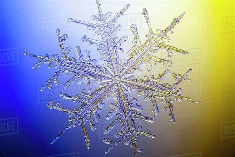 Photo Microscope View Of A Real Snowflake Showing The Classic 6 Sided