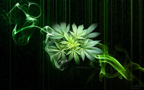Fonds d'écran hd feuille de cannabis typographie à télécharger. Pot Wallpaper - WallpaperSafari