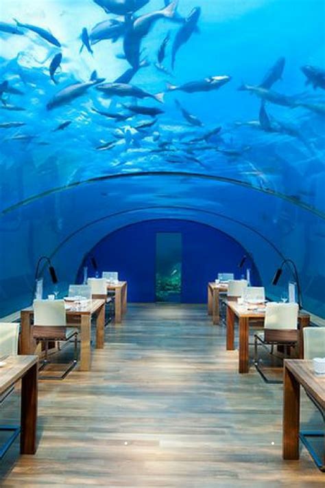 On Our Bucket List Conrad Maldives The Worlds First Underwater Resort