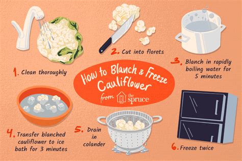 How To Blanch And Freeze Cauliflower