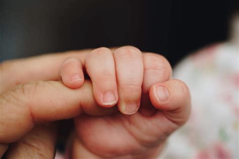 Newborn Baby Holding Parents One Hand Free Stock Photo Picjumbo