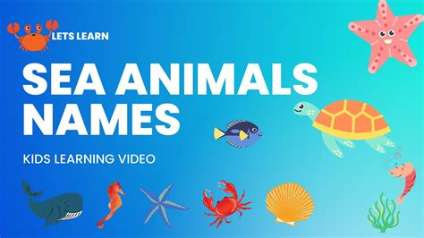 Sea Animals Learn Sea Animals Names In English Kids Vocabulary